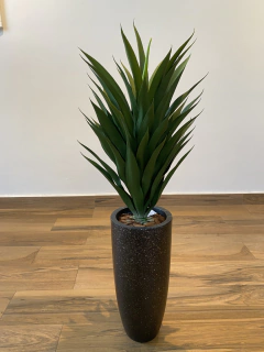 Agave permanente 67cm