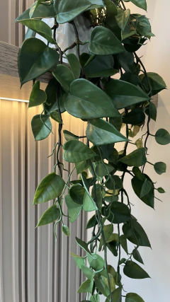 Arranjo artificial jiboia pendente 95cm - Cristal Garden