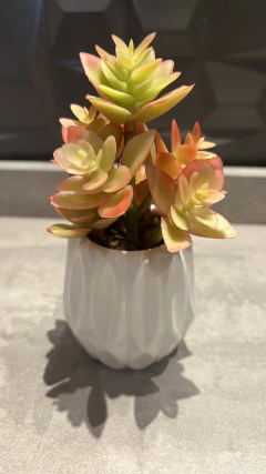 Arranjo mini suculenta artificial 16cm na internet