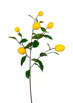 Galho limão siciliano permanente 95cm (amarelo)