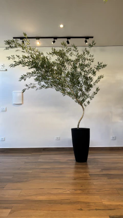 Bambu mosso artificial 2,40 metros curvado para esquerda na internet