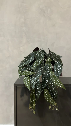 Arranjo Begonia Maculata artificial 50cm - loja online