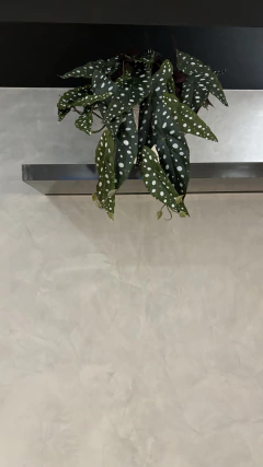 Arranjo Begonia Maculata artificial 50cm