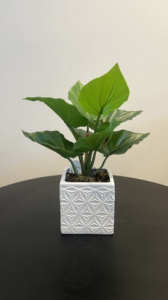 Arranjo Philo Artificial 30Cm