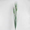 Papyrus Permanente - 87Cm