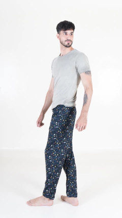 Pant Physics en internet