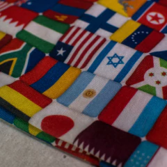 Imagen de Flags T-Shirt