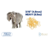 Gomas Intraorales 3/16" (4.8mm) HEAVY 6.5oz Elefante x 100u Ortho Organizers