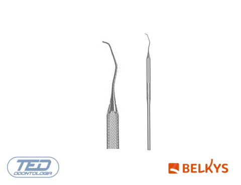 Explorador N°17 (08-002-17) Belkys - comprar online