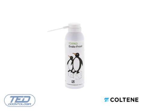 Spray p/Vitalidad Pulpar ENDOFROST x 200ml Roeko/Coltene