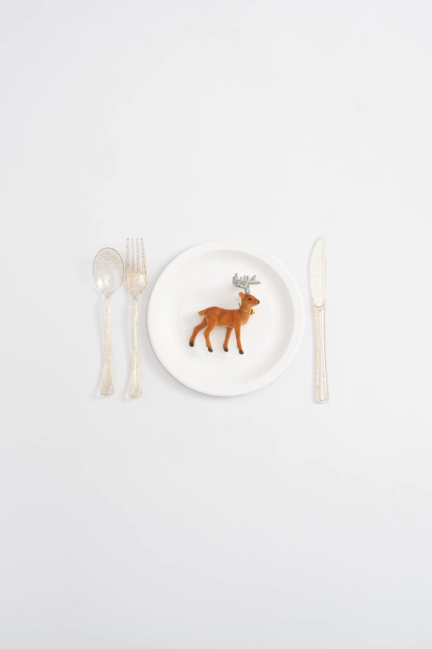 PLATOS LISOS CARTON BLANCO X8 - comprar online