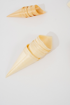 Imagen de CONO ECOLOGICO x10