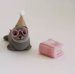 MINI LIBRITOS COZY - Papelera avellaneda