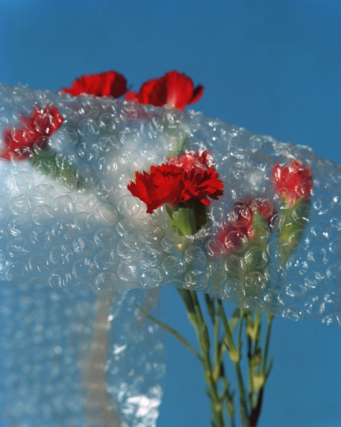 PLASTICO BURBUJAS 50cmx 1metro