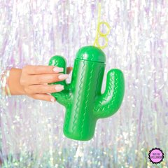 vaso cactus