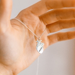 collar corazón anatomico