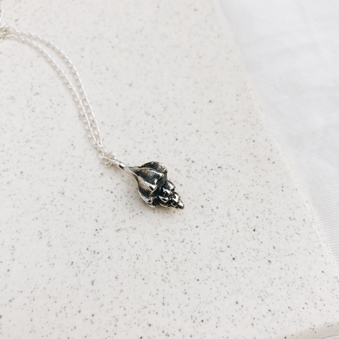 collar caracol