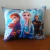 Almohadon Frozen