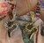 Snake dije - Furman Jewels