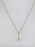 Collar White Snail on internet