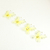 MARIPOSA TUL 80MM X6 (150073) - comprar online