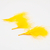 Imagen de PLUMA MARABU 300 9/12CM 50UNIDADES APROX (251361)