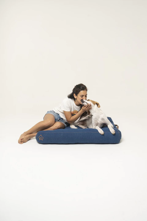 SAM - comprar online