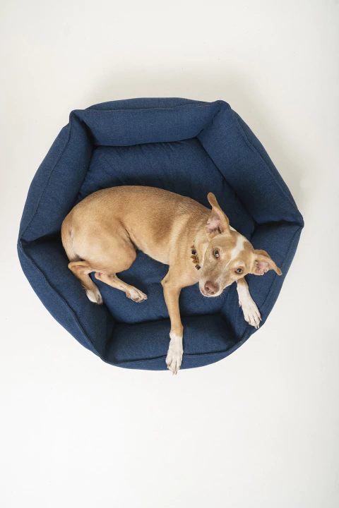 CHARM - comprar online