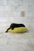 FUNDA DONUT BED PISTACCHIO (sólo talle M)