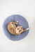 FUNDA DONUT BED AERO en internet