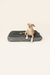 FUNDA SAM GRAFITO - tienda online
