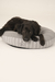 FUNDA DONUT BED GRIS (SOLO TALLE S)