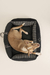 Imagen de FUNDA ASIENTO CHARM 3 EN 1