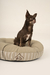 FUNDA DONUT BED BEIGE - tienda online