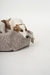 FUNDA CHARM - Pet House