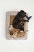 CAMA COMPLETA FELIX FELICIS - tienda online