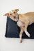 CAMA COMPLETA SMART MAT en internet