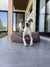 Imagen de PROTECTOR IMPERMEABLE CHARM