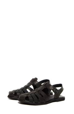 Anastasia en internet