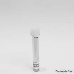 Loewe Pour Homme Loewe Masculino - Decant - Perfume Shopping  | O Shopping dos Decants