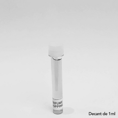 Phantom Parfum Paco Rabanne Masculino - Decant - Perfume Shopping  | O Shopping dos Decants