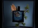Bleu de Chanel Parfum Chanel masculino - Decant na internet