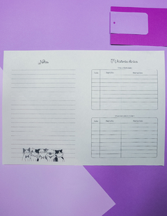 AGENDA PEDIÁTRICA GATITOS (REPUESTO) en internet