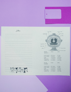 AGENDA PEDIÁTRICA GATITOS (REPUESTO) - comprar online