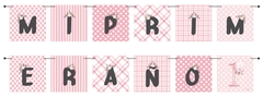 BANDERIN MI PRIMER AÑO PINTITAS - comprar online