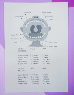 AGENDA PEDIÁTRICA GATITOS (REPUESTO) - tienda online