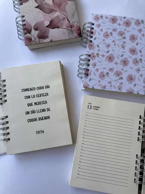 AGENDA DIA X DIA 2026 KATU - comprar online