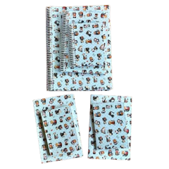 ART. 9100- KIT COMPLETO 7 CUADERNOS SURTIDOS KATU en internet