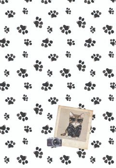 Linea KATU - Papeles Clásicos Katu - comprar online