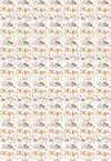 PED054 - Mapache